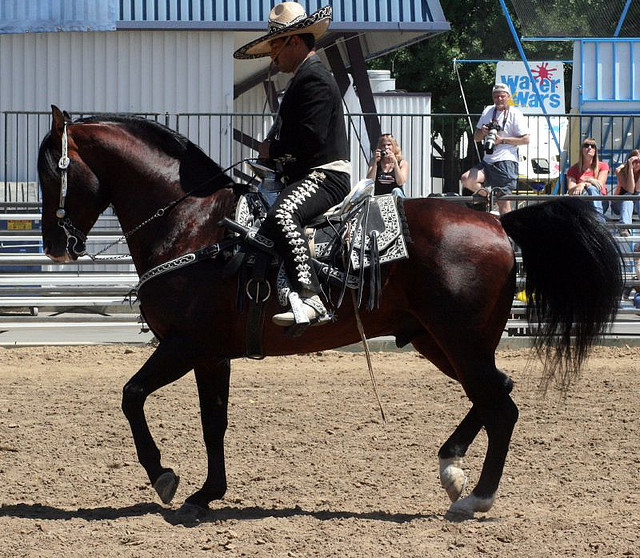 Azteca horse. Image by Just chaos