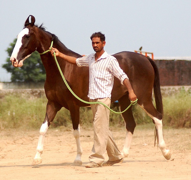 Kathiawari. Image by manu sharma303